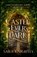 Castle Ever Dark, Sara Knightly - Paperback - 9798224675517