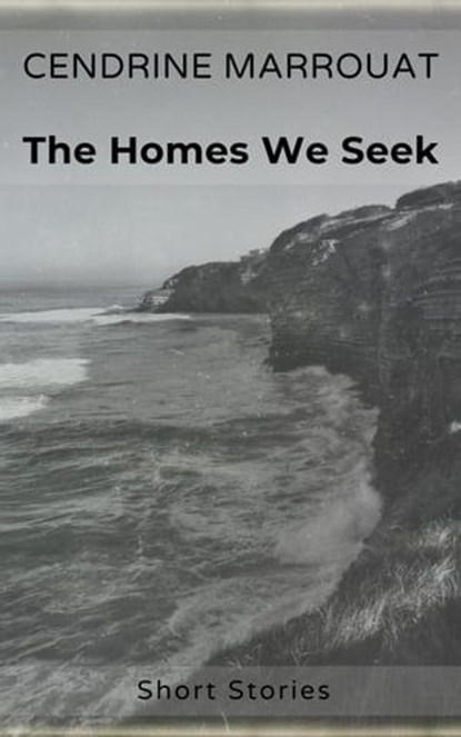The Homes We Seek, Cendrine Marrouat - Ebook - 9798224831081