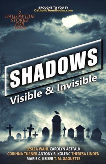 Shadows: Visible & Invisible, Catholic Teen Books - Ebook - 9798227102805