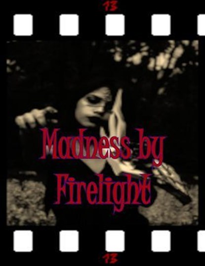 Madness by Firelight, Michael Bertolini ; Brit Jones ; Riley Santangelo ; Zach Ellenberger ; Tyler Markham ; Alan Dark ; Thomas Lanthripp ; Ian Klink ; Ryan A. Fleming ; Ethan K. Lee ; J. Weintraub ; Michael Castillo ; Kathleen Halecki - Ebook - 9798227259509