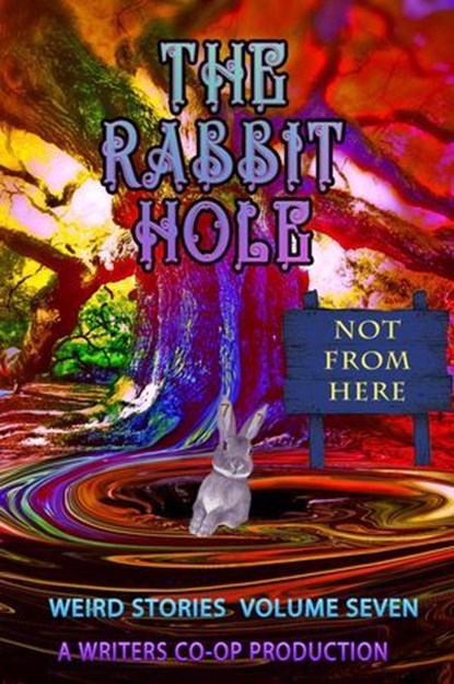 The Rabbit Hole VII: Not From Here, Thomas Wolosz ; Curtis Bausse ; GD Deckard ; Sandra Randall - Ebook - 9798227277251