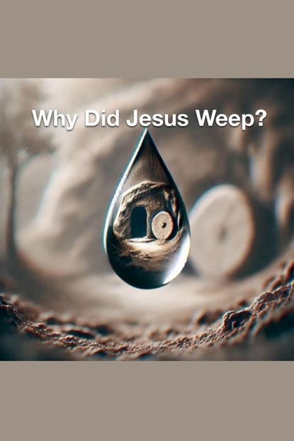 Why Did Jesus Weep?, Joshua Rhoades - Paperback - 9798227433152