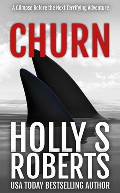Churn, Holly S. Roberts - Ebook - 9798227440631
