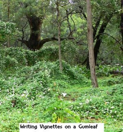 Writing Vignettes on a Gumleaf, Dianthe Bells - Ebook - 9798227885180