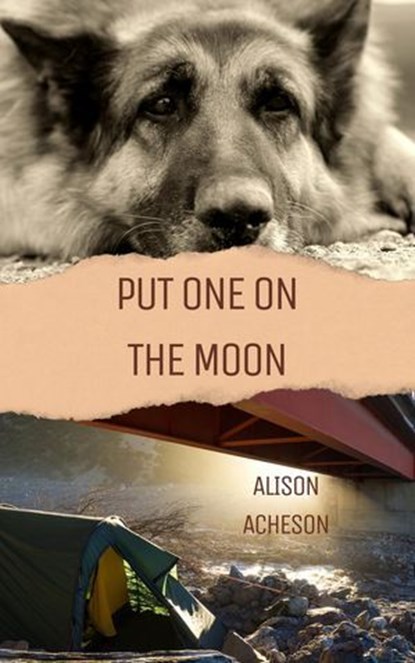 Put One On the Moon, Alison Acheson - Ebook - 9798227890931