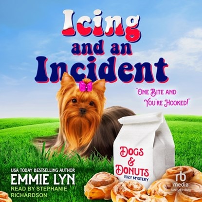 Icing and an Incident, Emmie Lyn - AVM - 9798228562226