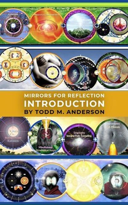 Universal Records, Todd M. Anderson - Ebook - 9798230074908
