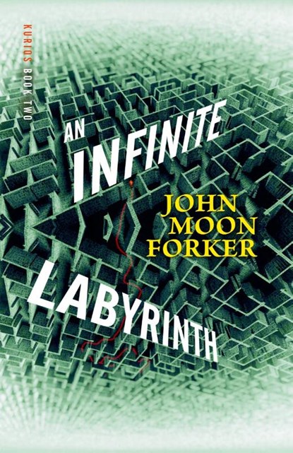 An Infinite Labyrith, John Moon Forker - Paperback - 9798230184584