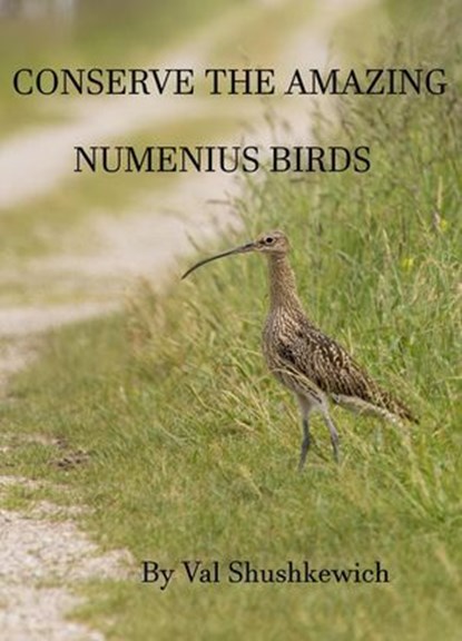 Conserve the Amazing Numenius Birds, Val Shushkewich - Ebook - 9798230497295