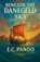 Beneath The Danegeld Sky, E C Pando - Paperback - 9798231114689