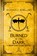 Burned in the Dark, Shanna Robillard - Paperback - 9798231194742