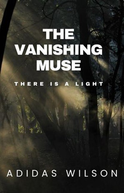 The Vanishing Muse - There Is A Light, Adidas Wilson - Ebook - 9798231232154