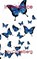 Iridescence, Jay Caselberg - Paperback - 9798231353163