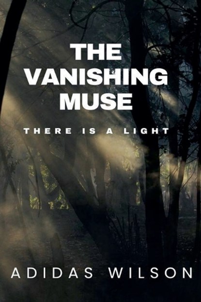The Vanishing Muse - There Is A Light, Adidas Wilson - Paperback - 9798231529926