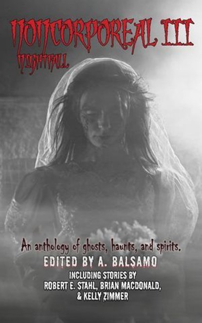 Noncorporeal III: Nightfall, A. Balsamo ; Tim Lewis ; Sara Jordan-Heintz ; Brian MacDonald ; S. Y. Coffelt ; Dawn DeBraal ; Jenny Perry Carr ; Marc Sorondo ; Melody E. McIntyre ; J. E. Tamber ; Julie Dron ; Robert E. Stahl ; Kay Hanifen ; Michael La Ronn ; C.A. Verstraete ; Caitlin B - Ebook - 9798231783847