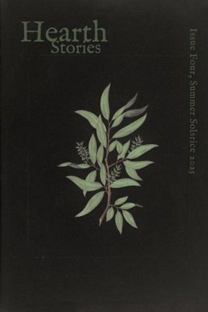 Hearth Stories, Summer Solstice 2025, J.C. Pillard ; Erin Keating ; Amanda Fetters ; Alicia Adams ; T.R. Steele ; Kendra Recht ; T.S. Weaver ; Christian Emecheta - Ebook - 9798231821037