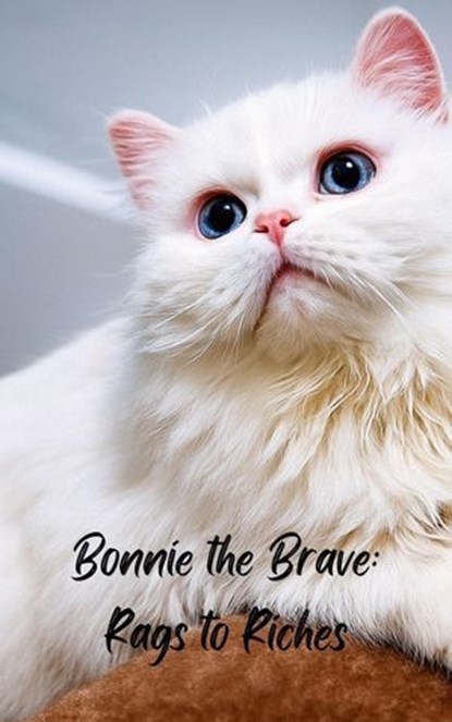 Bonnie the Brave; Rags to Riches, Jennifer Phillips - Ebook - 9798232233266