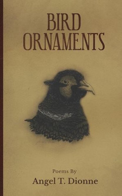 Bird Ornaments, Angel T. Dionne - Ebook - 9798232596255