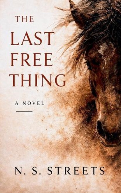 The Last Free Thing, N S Streets - Paperback - 9798232746957