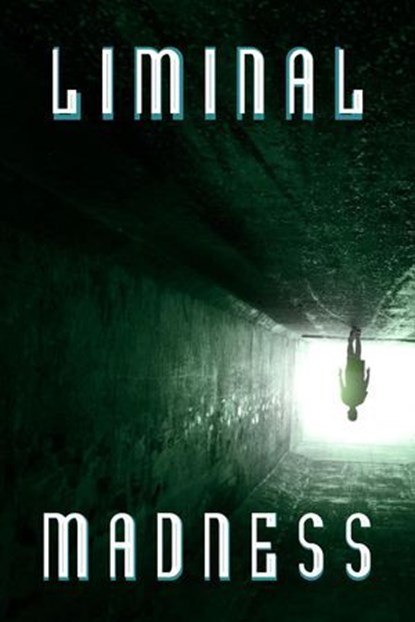 Liminal Madness, Caitlin Duffy ; DARREN TODD ; Fendy S. Tulodo ; Dave Hangman ; JB Polk ; Wyatt Roberts ; D Winchester ; Kay Hanifen ; Veronica Zora Kirin ; Adi Langalin ; Jon Resnick ; Natasha Smith ; Paul Lonardo ; Richard Martin ; Nicola Lombardi ; CL Halvorson ; JD Si - Ebook - 9798232955557