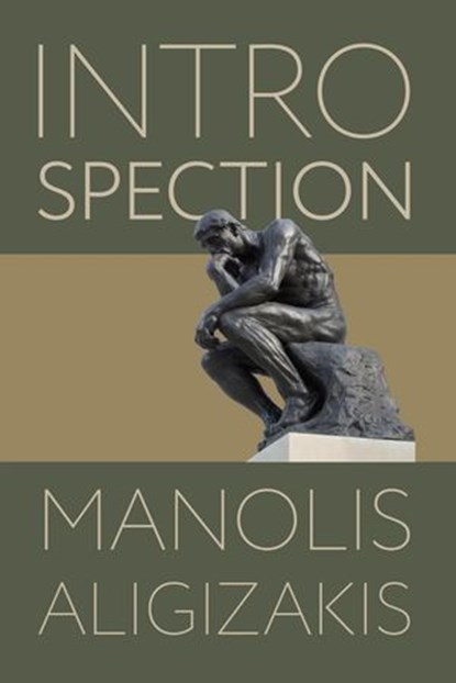 Introspection, Manolis Aligizakis - Ebook - 9798233303692