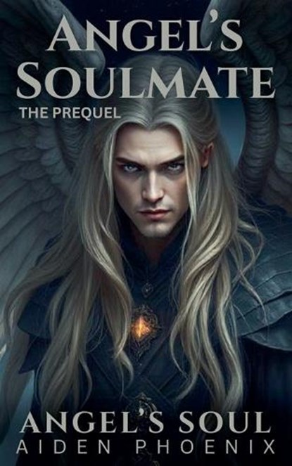 The Prequel, Aiden Phoenix - Paperback - 9798233385810