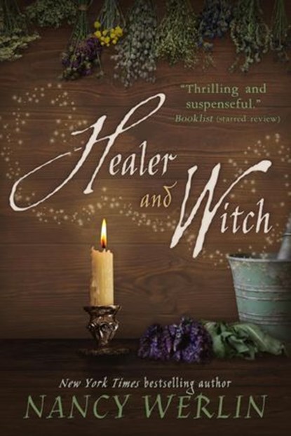 Healer and Witch, Nancy Werlin - Ebook - 9798233429132
