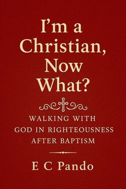 I'm A Christian, Now What?, E C Pando - Ebook - 9798233727405