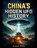 China's Hidden UFO History, Andrew Parry - Paperback - 9798233879555