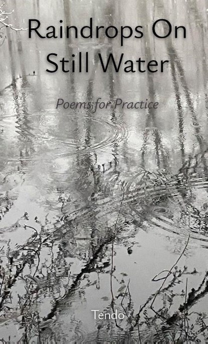 Raindrops on Still Water, Tendo - Paperback - 9798234030764