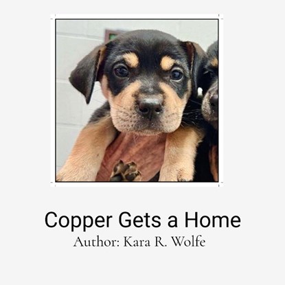 Copper Gets a Home, Kara R. Wolfe - Paperback - 9798234092335