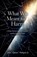 What Was Meant for Harm, John Quinn Mulquin - Paperback - 9798234097934