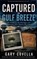 Captured in Gulf Breeze, Gary Covella - Paperback - 9798235344365