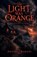 The Light Was Orange, Deepali Bakshi - Paperback - 9798235678620