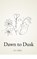 Dawn to Dusk, Ava Helfand - Paperback - 9798240619601
