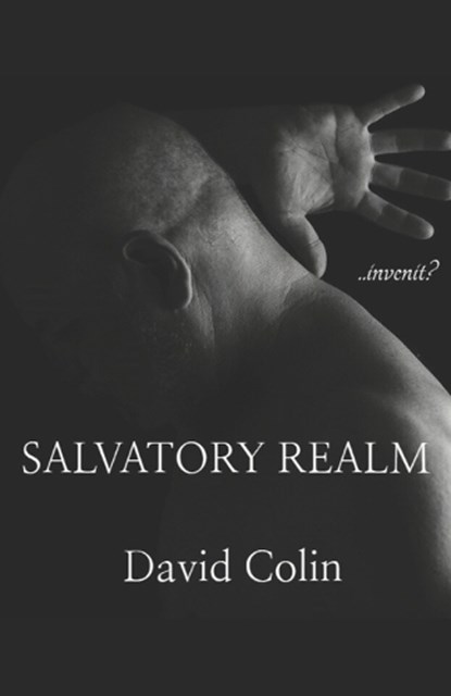 Salvatory Realm, David Colin - Paperback - 9798242220997