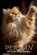 Persian Cat Photo Collection, Ymi Collection - Paperback - 9798243391771