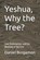 Yeshua, Why the Tree?, Daniel R Bingamon - Paperback - 9798243437509