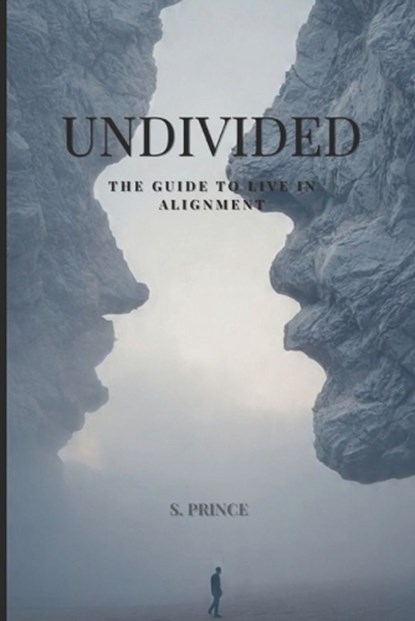 Undivided, S Prince - Paperback - 9798244015485