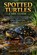 Spotted Turtles Care Guide, Jason Cortez - Paperback - 9798246320228