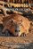 Capybara Photo Collection, Ymi Collection - Paperback - 9798247584841