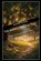 The Mango and the Tree, Bhushan Kulkarni - Paperback - 9798248023066