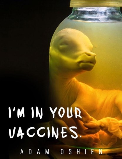 Oshien, A: I'm In Your Vaccines V2, Adam Oshien ; Adam Ringham - Paperback - 9798253372197