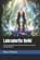 Labradorite Reiki, Beau James Thomas - Paperback - 9798253421529