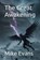 The Great Awakening, Mike Evans - Paperback - 9798256016944