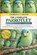 Parrotlet Beginner to Expert Handbook, Charles O Clinton - Paperback - 9798257366420
