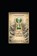 Pyle, W: Fertile Void, William Pyle - Paperback - 9798257930188