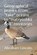 Geographical pranks, Abraham Lincoln - Paperback - 9798258254924