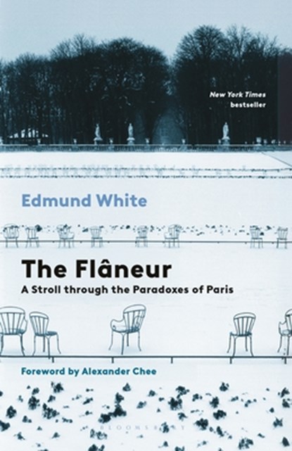 The Flaneur: A Stroll Through the Paradoxes of Paris, Edmund White - Paperback - 9798260200162
