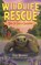 How to Save a Tortoise, Kate Messner - Gebonden - 9798260506332